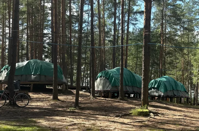 кемпинг рыжий лис с палатками