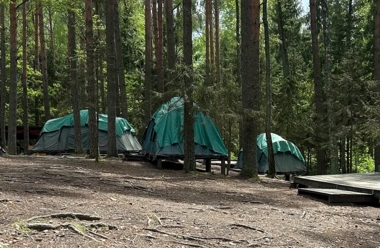 как выбрать кемпинг